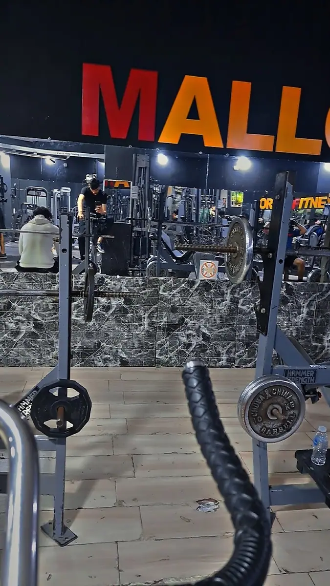 Sport &fitness mallorca · Fitness & Musculation · Nador · photo 2