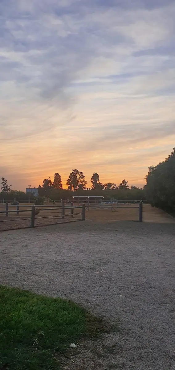 Club Équestre Les Grenadiers · Équitation · Casablanca · photo 3