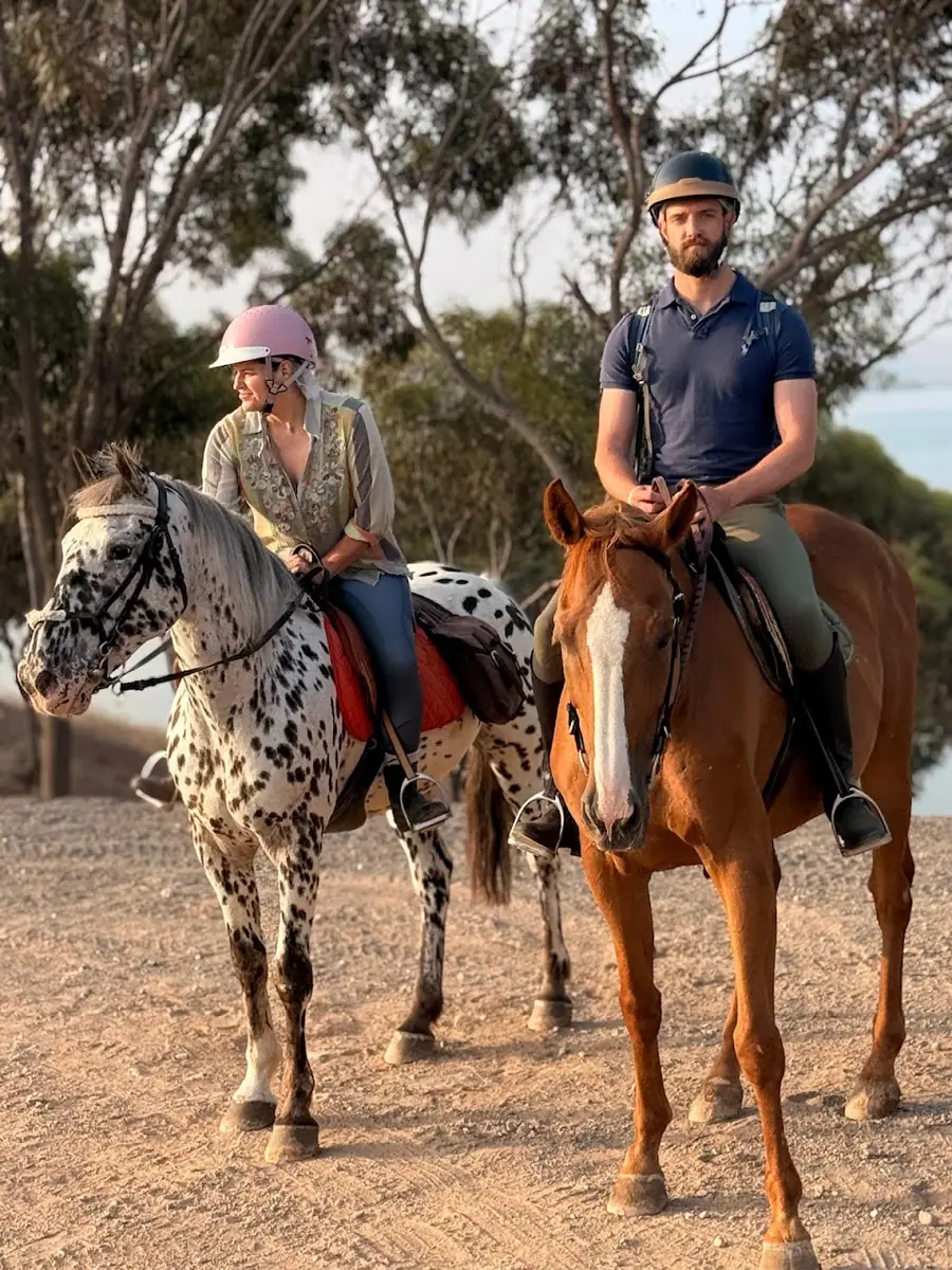 Domaine Équestre La Palmeraie - Cheval Marrakech · Équitation · Marrakech