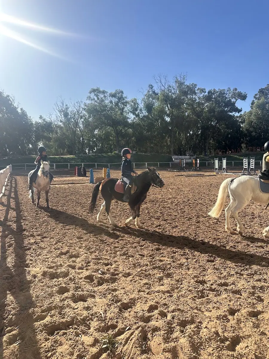 Argana terre de cheval · Équitation · Agadir