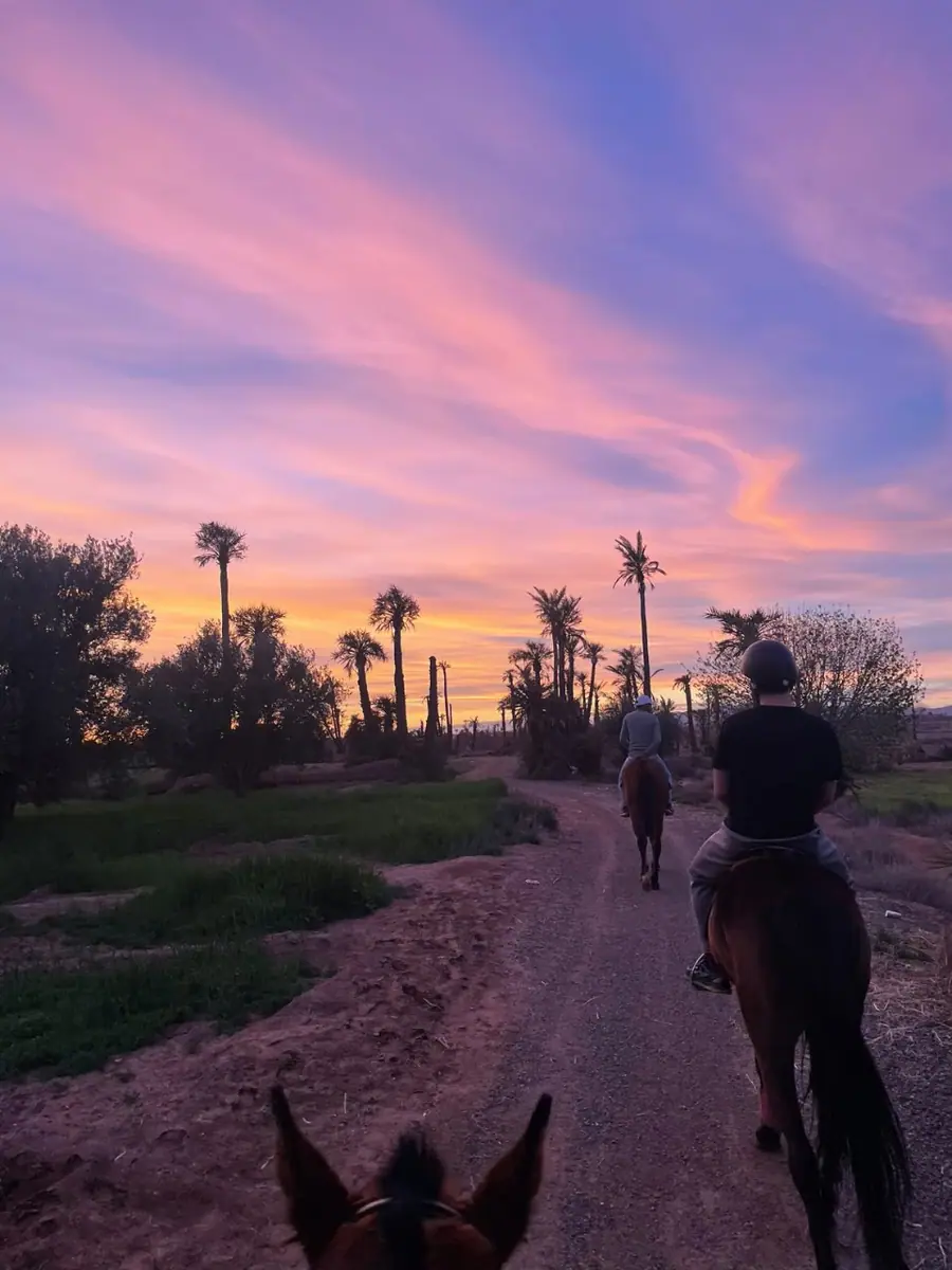 Balade Équestre Palmeraie · Équitation · Marrakech