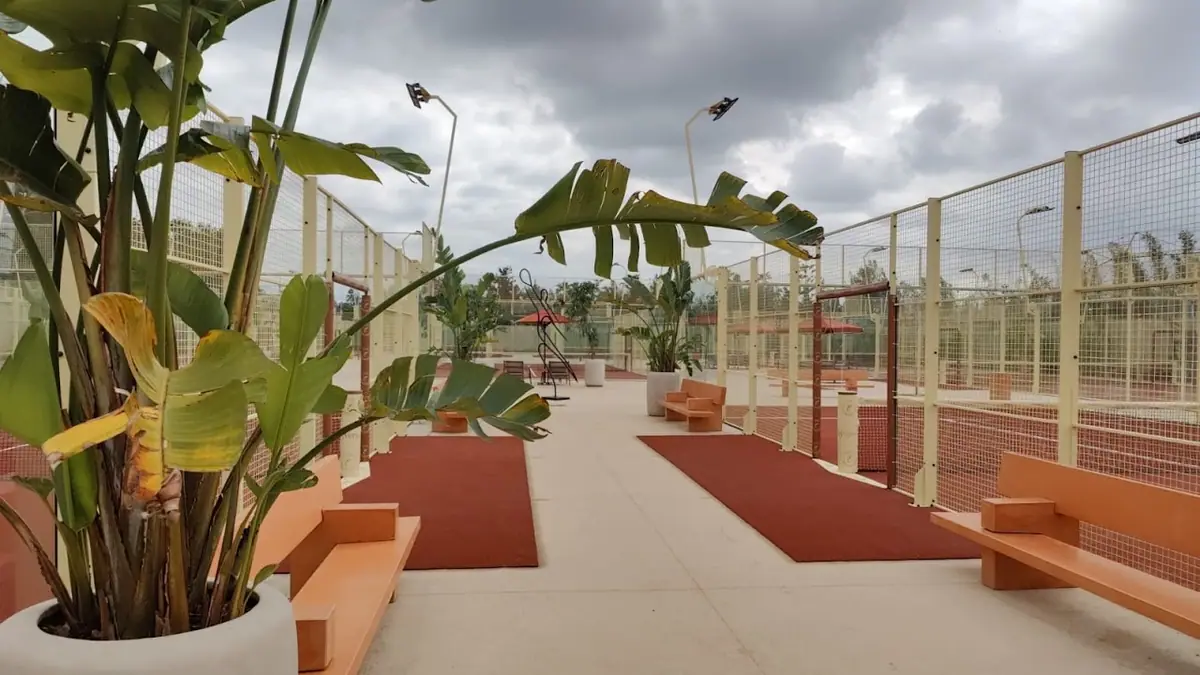 Everyday The Wellness Society · Padel · Casablanca · photo 2
