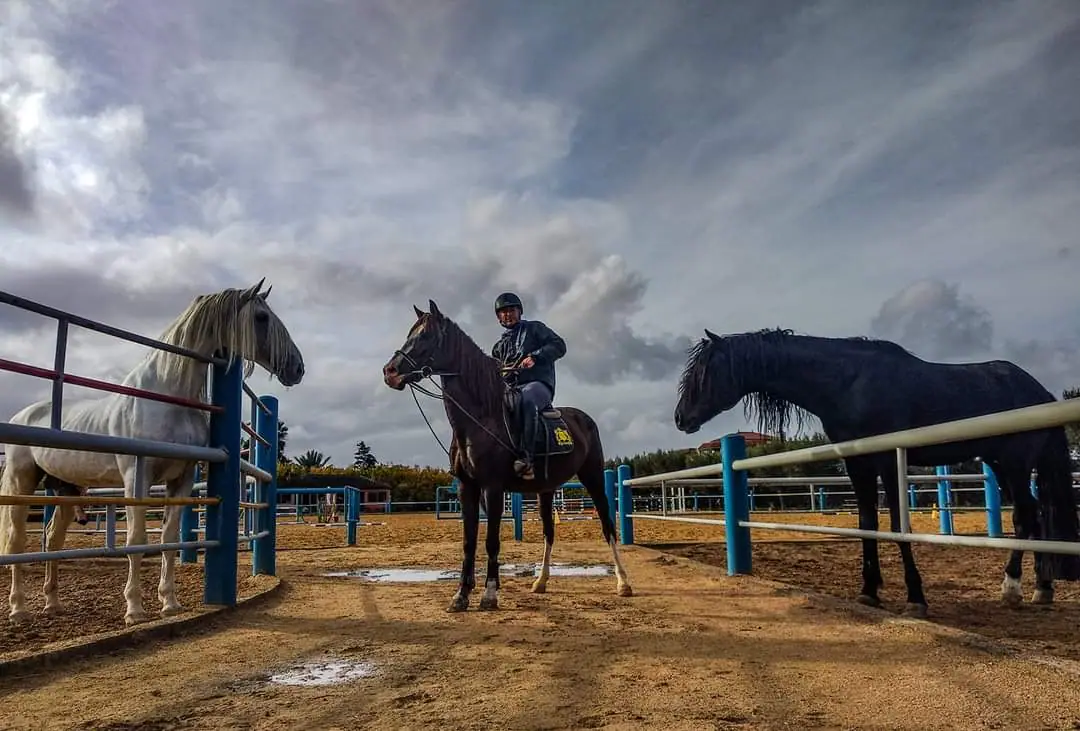 Club Équestre Les Grenadiers · Équitation · Casablanca · photo 2
