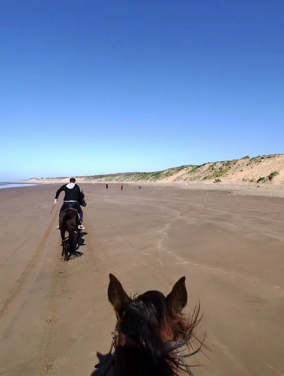 Horseland casablanca · Équitation · Casablanca