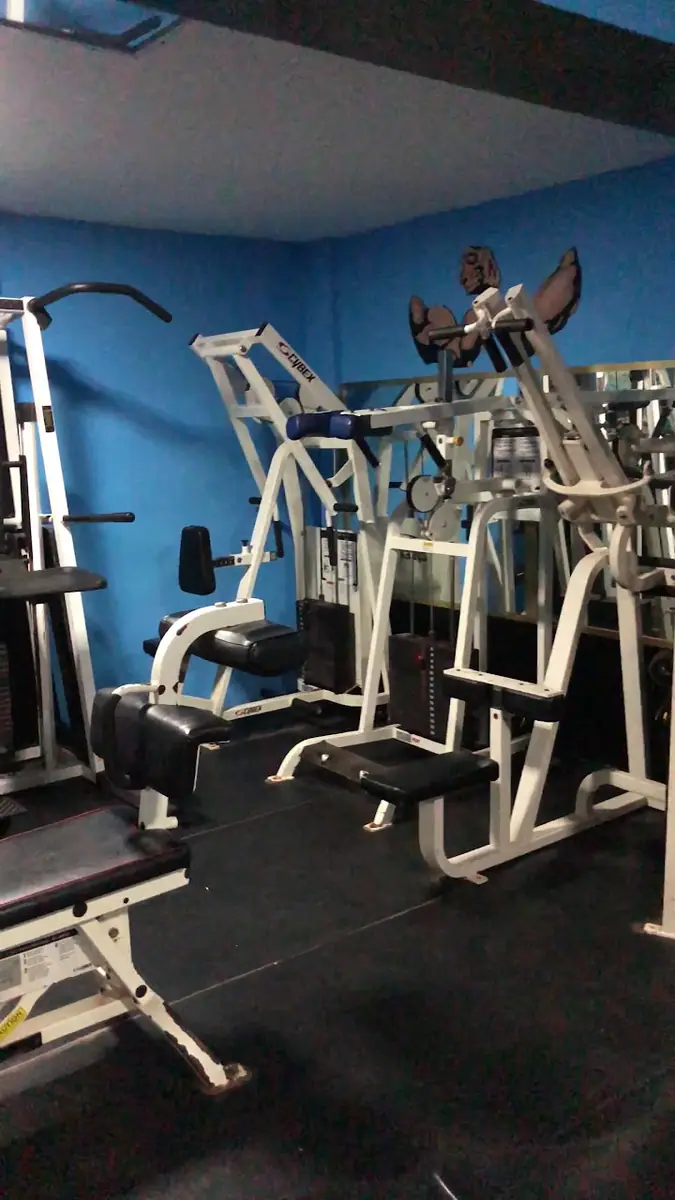 Salle de gym al manzah · Fitness & Musculation · Casablanca · photo 2