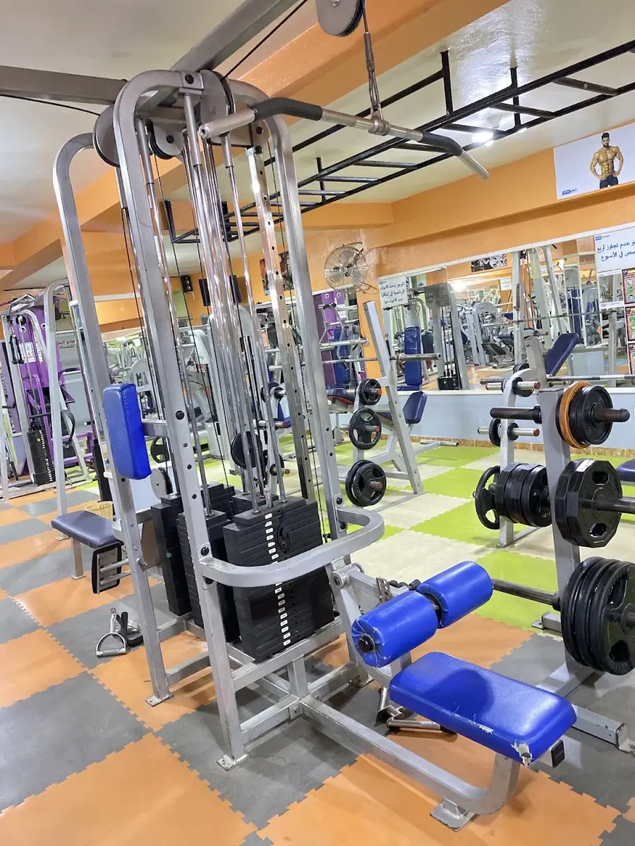 Gym Academy · Fitness & Musculation · Meknès