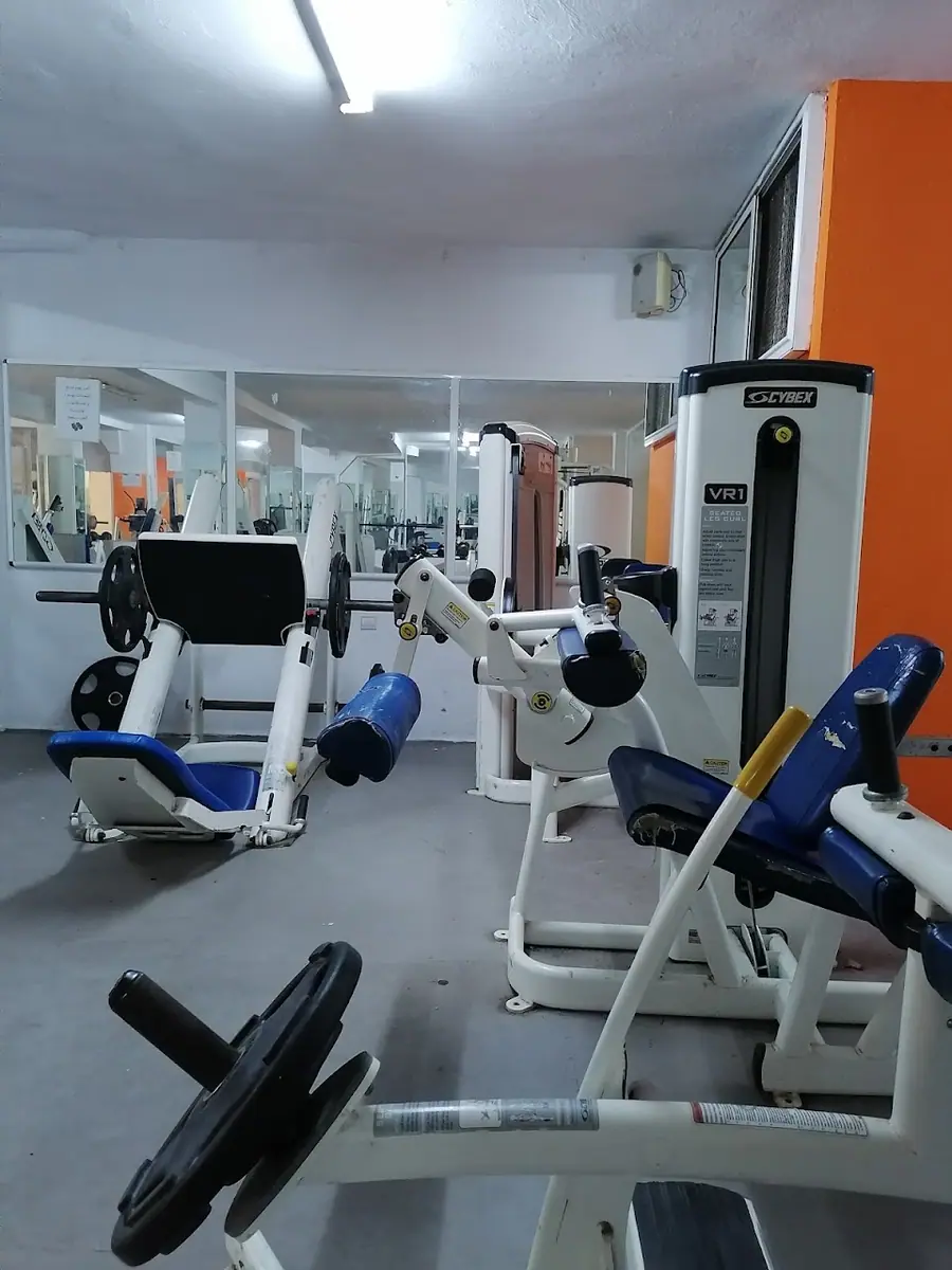 Gymax fitness · Fitness & Musculation · Fès · photo 3