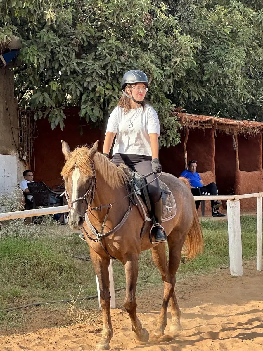 club équestre agouzoul · Équitation · Rabat · photo 3
