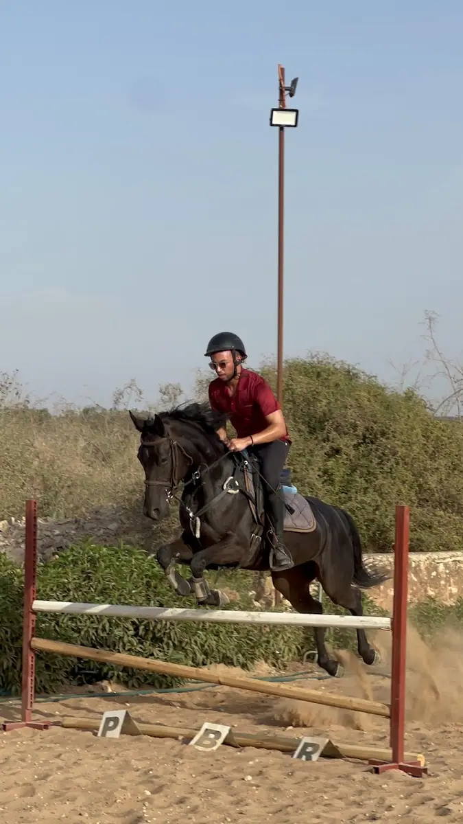Ecurie Verte Bouskoura · Équitation · Casablanca · photo 3