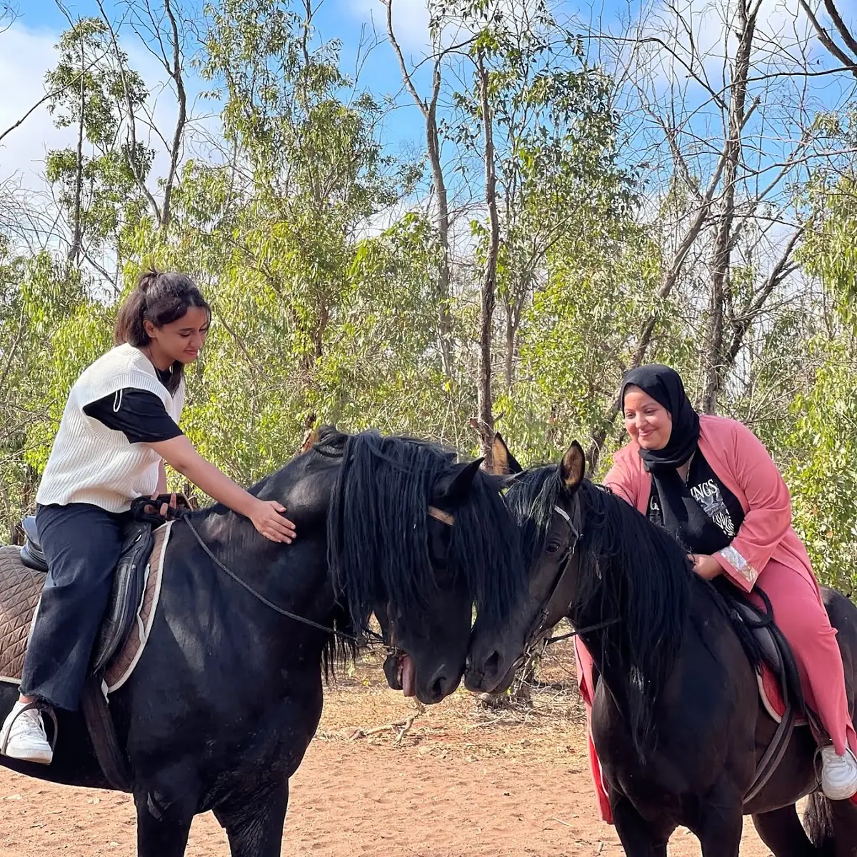 Club Cheval Dar el khayl · Équitation · Casablanca