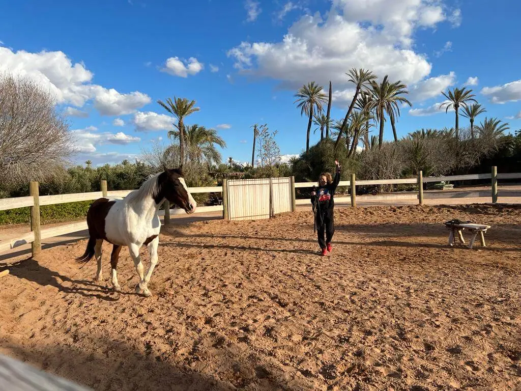 Écurie Les Cimes De L'atlas · Équitation · Marrakech · photo 2