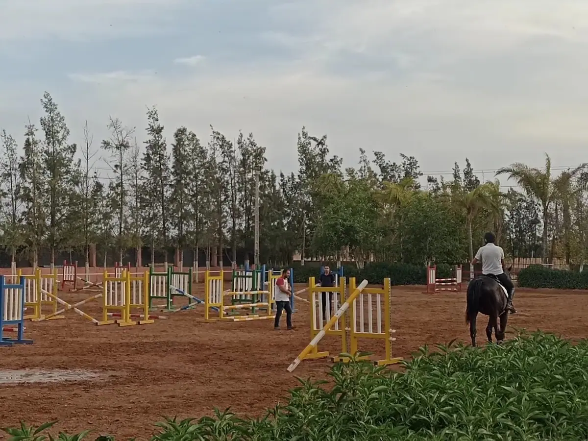 Club Équestre California · Équitation · Oujda
