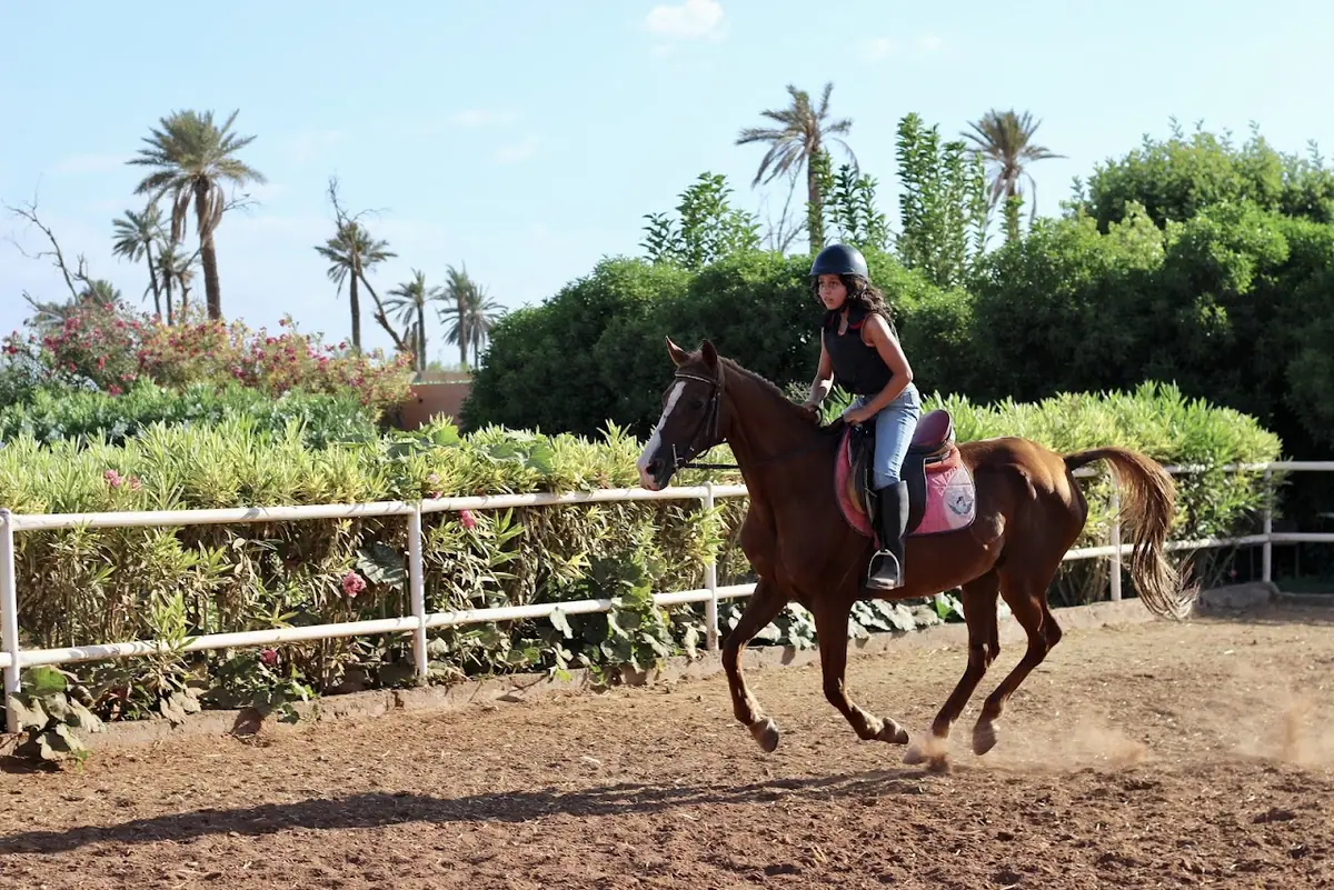Les Amis Du Cheval Marrakech · Équitation · Marrakech · photo 3