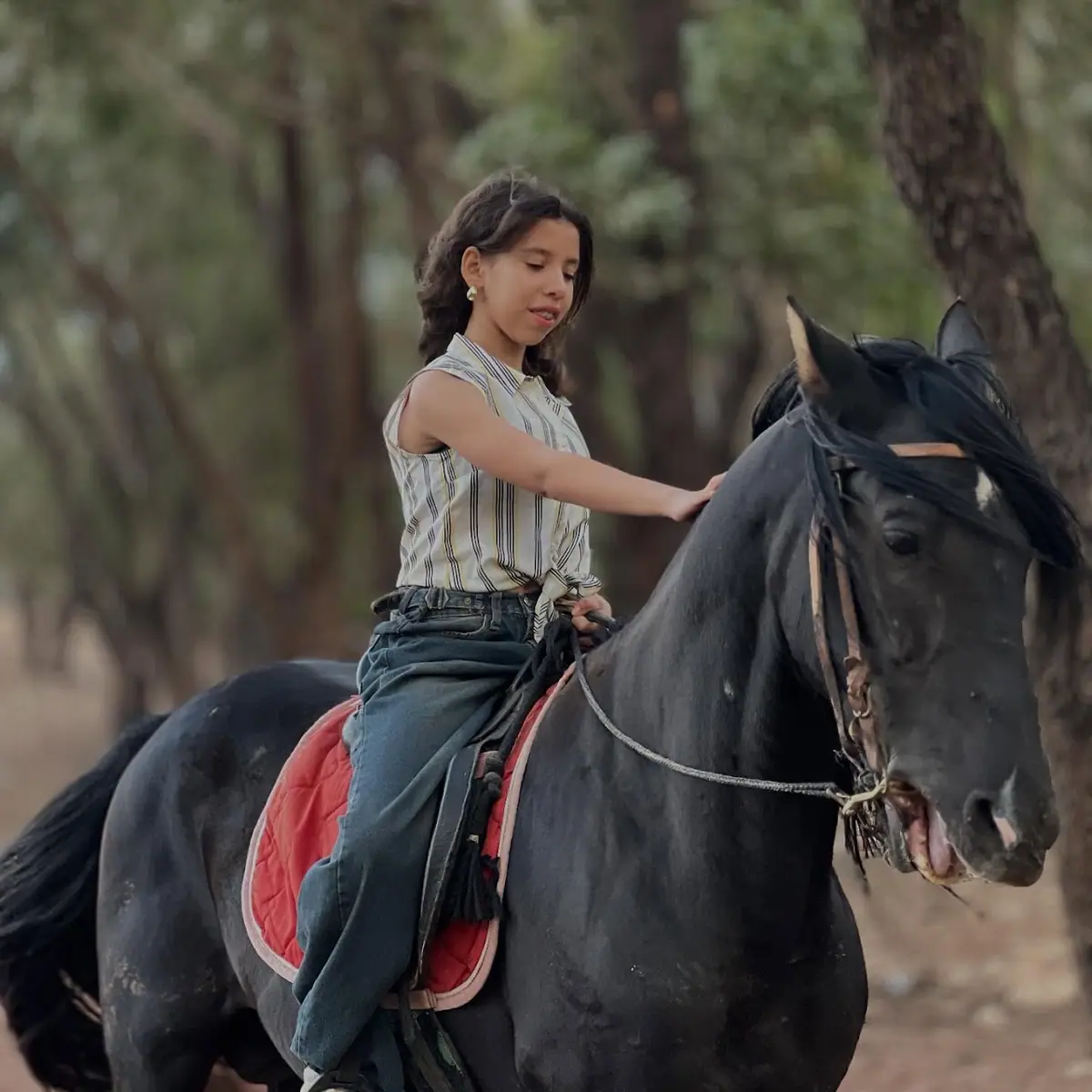Club Cheval Dar el khayl · Équitation · Casablanca · photo 2