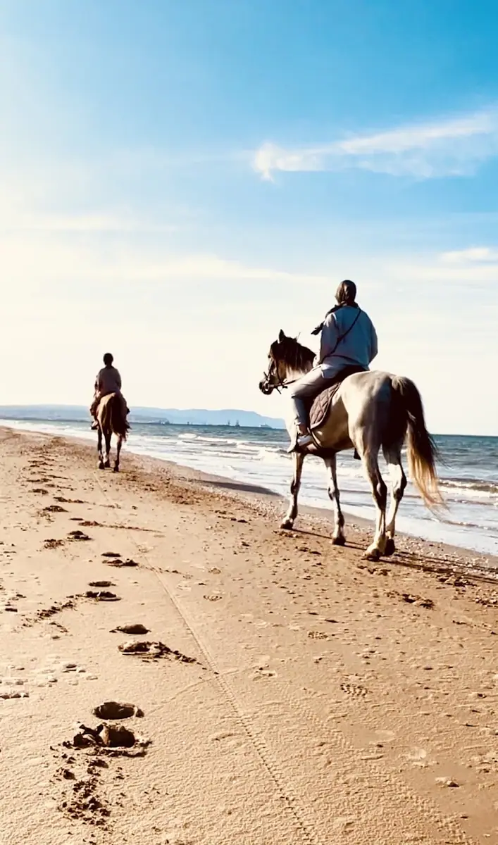 نادي تازودة للفروسية · Équitation · Nador · photo 3