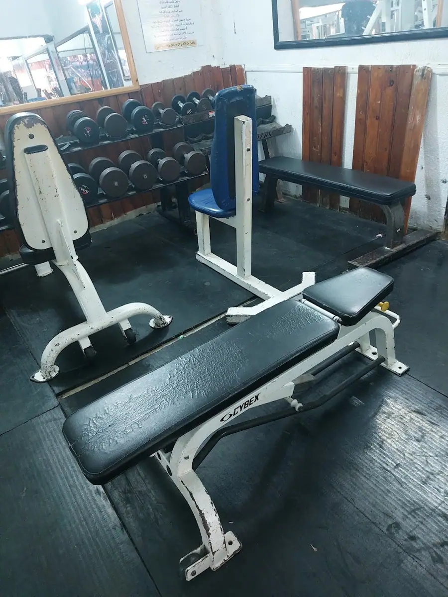 Safi Salam Sport · Fitness & Musculation · Safi · photo 2