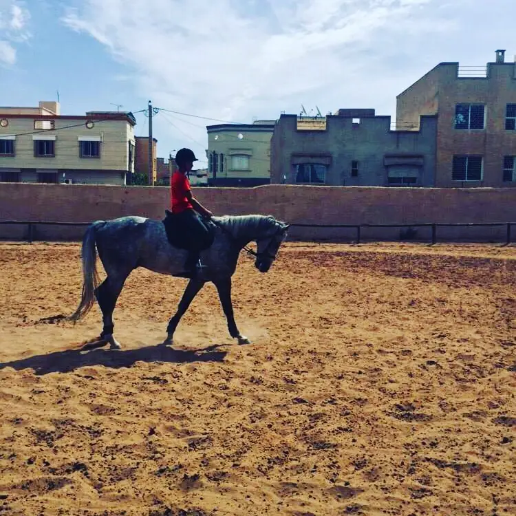 Club Équestre Lalla Amina · Équitation · Oujda