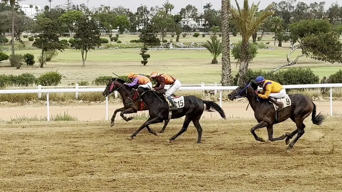 Royal Golf Anfa · Golf · Casablanca · photo 2