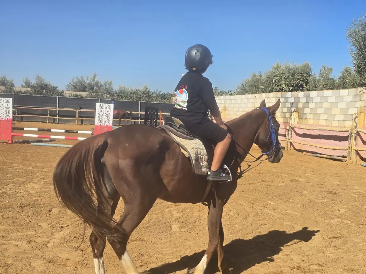 Club Ribat Al Khair D'équitation · Équitation · Meknès