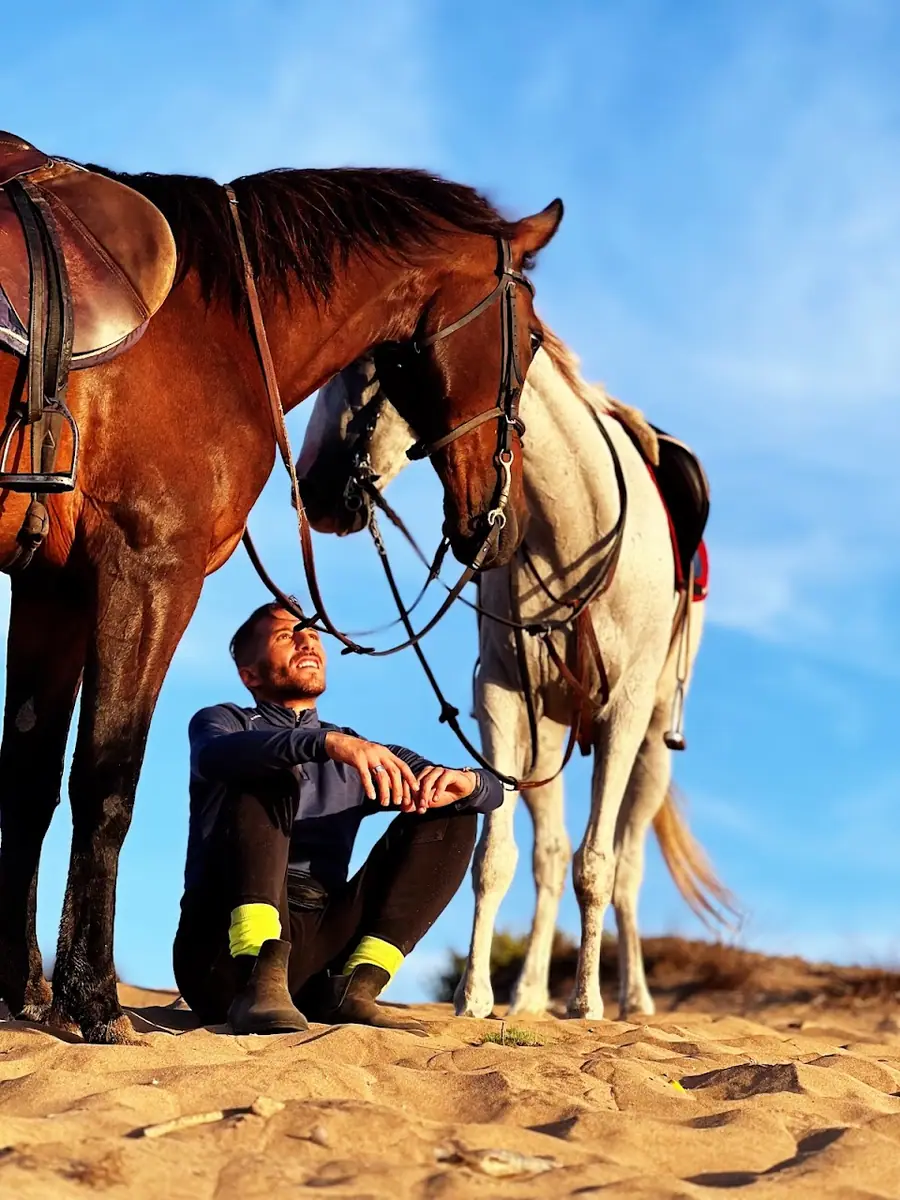 Ain gueddid horse rides · Équitation · Casablanca · photo 2