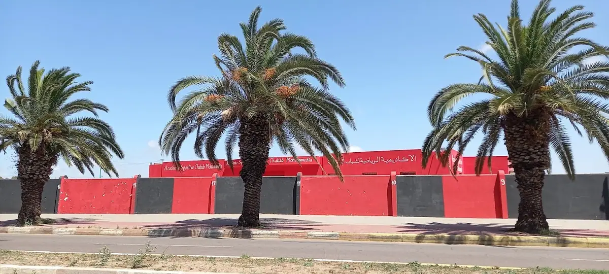 École de Football des Lionceaux de l'Atlas · Football · Casablanca · photo 2