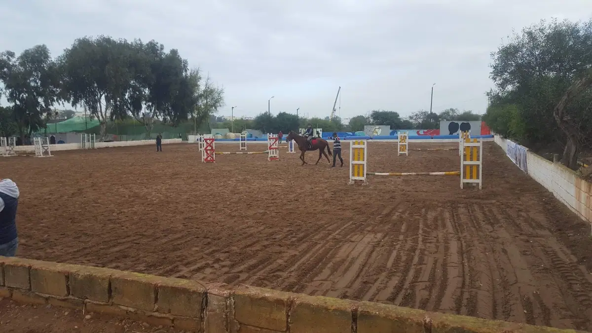 Royal Club Equestre Anfa Casablanca · Équitation · Casablanca · photo 3