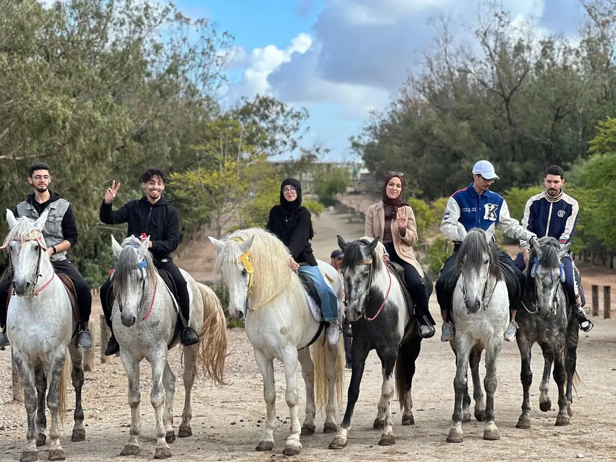 Farm Ride El Arabi - Bouskoura · Équitation · Casablanca