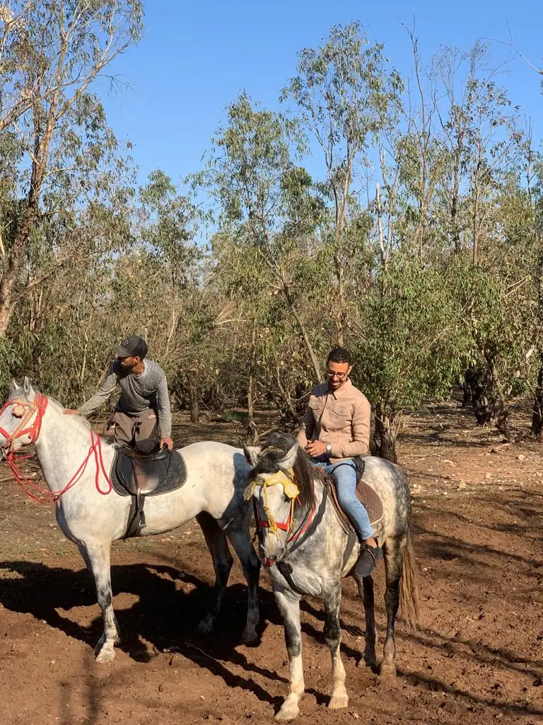Club Cheval Dar el khayl · Équitation · Casablanca · photo 3