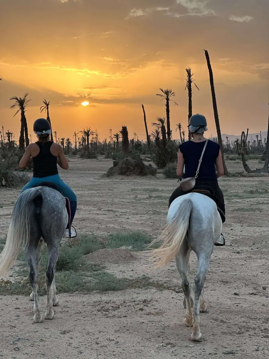 Equitation Cheval Marrakech - Horseback Riding Palmeraie · Équitation · Marrakech