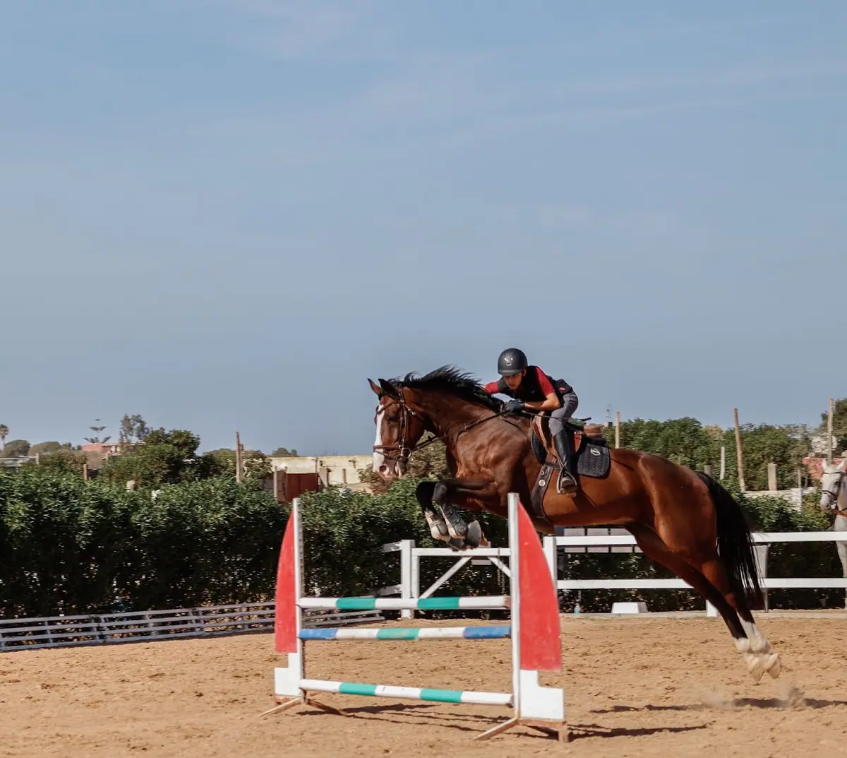 Equestrian Center Ouled Azzouz Les Ecuyers De Casablanca · Équitation · Casablanca · photo 3