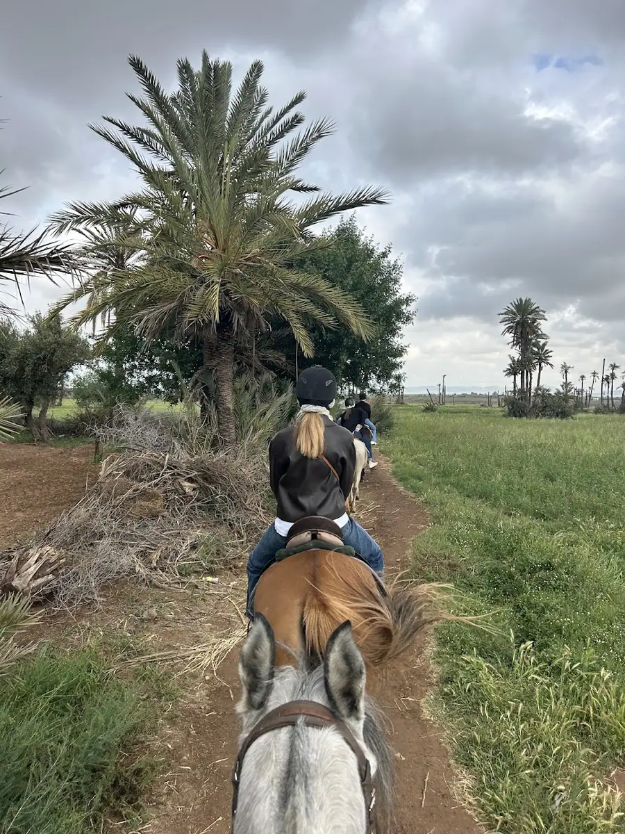 Cheval Marrakech · Équitation · Marrakech · photo 3