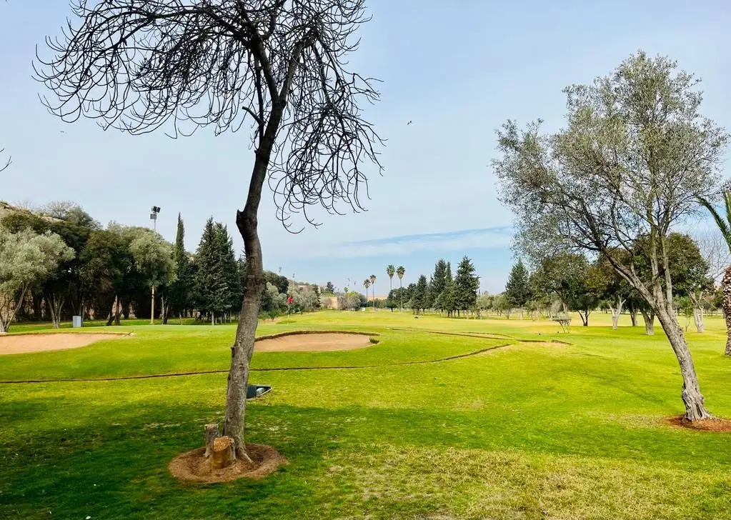 Royal Golf de Meknes · Golf · Meknès · photo 3