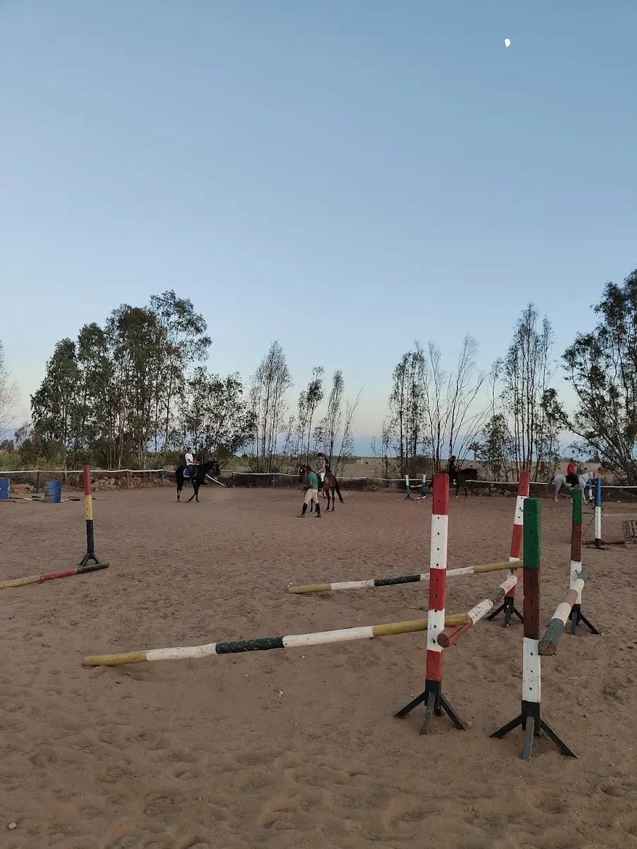 Domaine Équestre · Équitation · Marrakech · photo 3