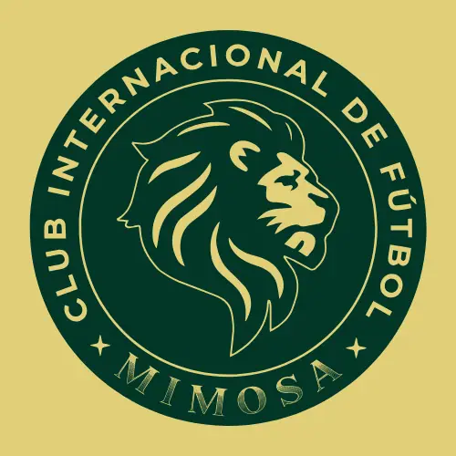 Inter Mimosa Football Academy · Football · Agadir