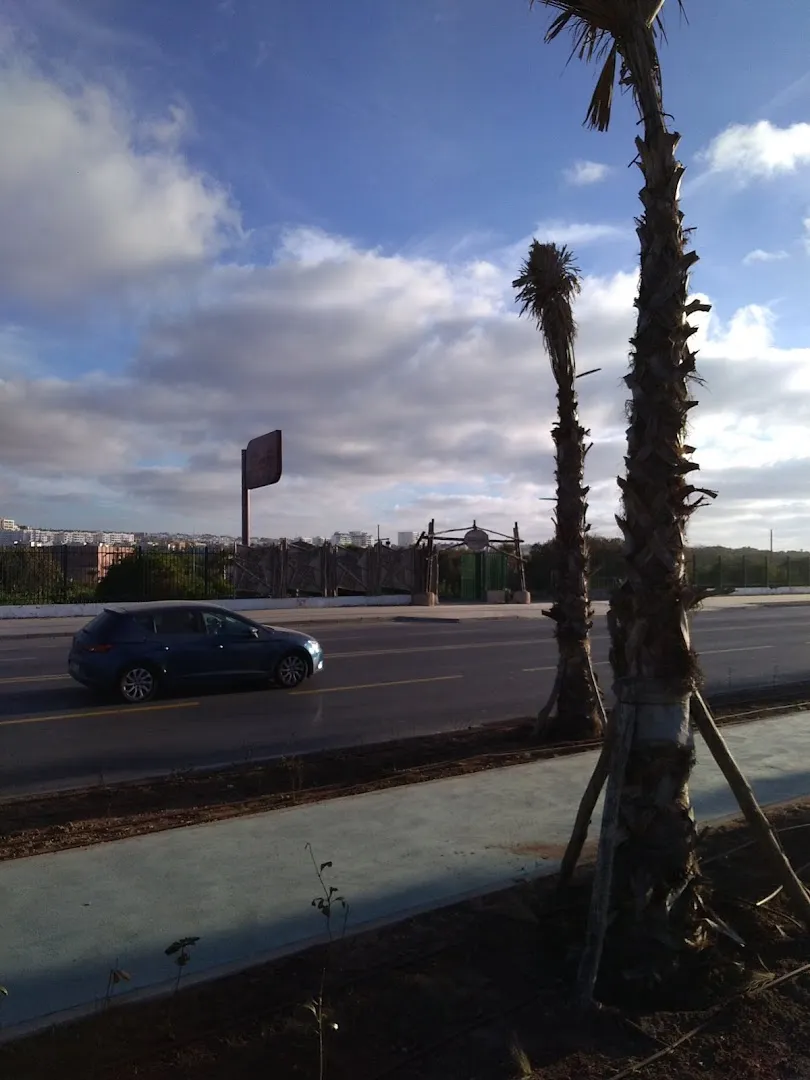 Ocean Twelve Surf School · Surf · Casablanca · photo 3