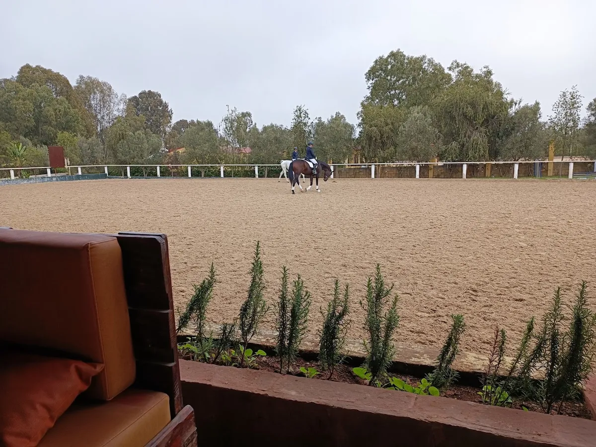 Royal Club Équestre Le Carrefour · Équitation · Casablanca · photo 3